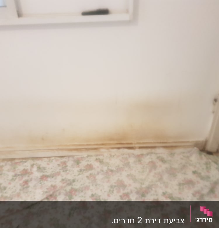 קיר עם כתמי לכלוך ויריעת בד על הרצפה